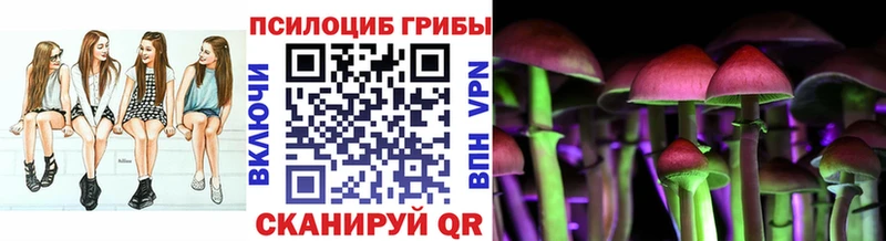 Псилоцибиновые грибы Psilocybe  наркотики  ссылка на мегу ССЫЛКА  Черноголовка 